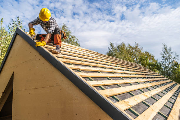 Roof Gutter Cleaning in Edgerton, WI