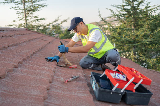Best Sealant for Roof  in Edgerton, WI
